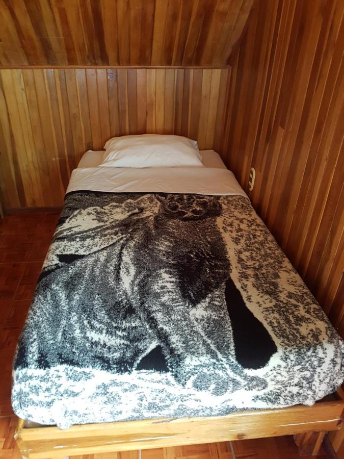 Hostel Monteverde Backpackers Eksteriør billede